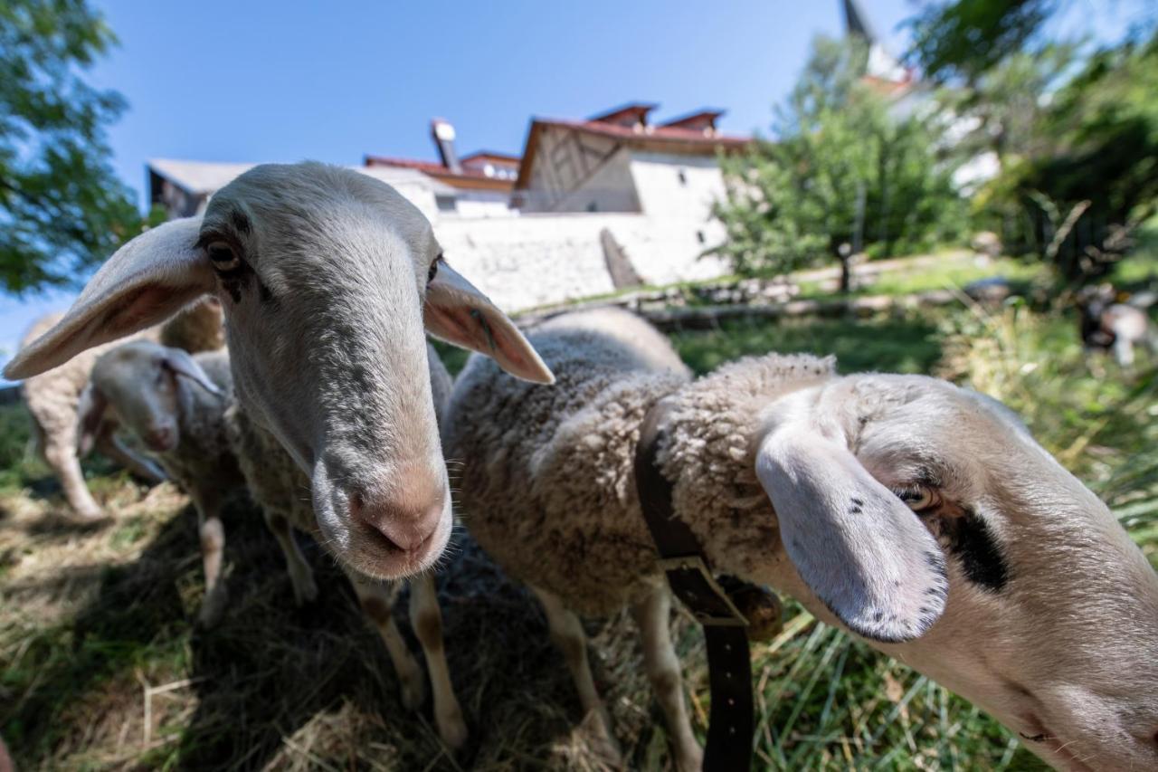 Meznarija Radovljica Apartman Kültér fotó